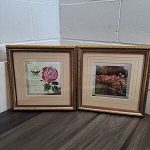 Shirley Novac Cosmos Garden 2 Glass Framed Prints Wall Art 13"X13"